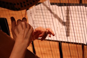 Carol Robbins' hands playing harp during Moraga recording sessions.