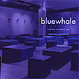 photo of interior of bluewhale live jazz club downtown los angeles photo by HARAM SUH